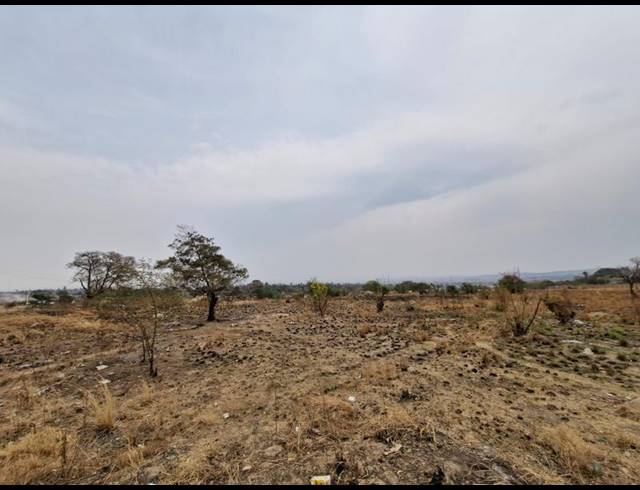 LAND FOR SALE IN LAEZONIA